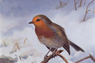 A painting of a robin perched on a twig amongst snow