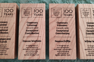 Four rectangular trophies made of oak sitting in a line, each one engraved with the award winner's name and achievement
