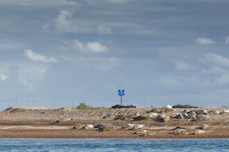 View of Blakeney Point with seals on the beach