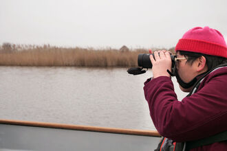 A person dressed in a red coat and hat watches birds through binoculars whilst seated in a small boat on Hickling Broad