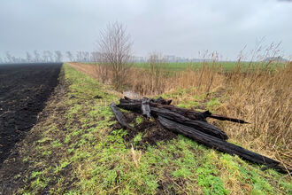 Peat lying among marshland
