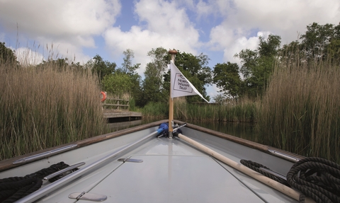 A boat with a NWT flag sailing through reeds.