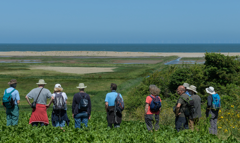 A group of people pictured from behind, as they stand on a green marsh and look out to the sea under a blue sky