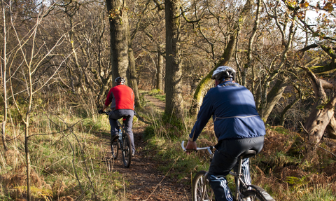 Two cyclists in the woods in autumn