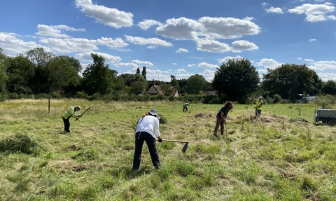 Members of NWT distributing green hay on a field on a sunny day