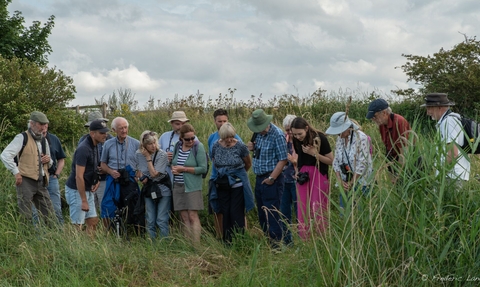 Event participants taking part in a walk at NWT Cley Marshes