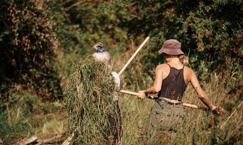 Volunteers raking on a sunny day at Sweet Briar Marshes
