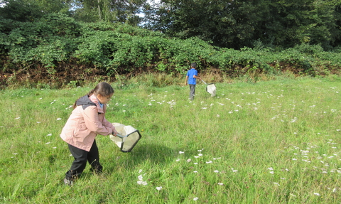 A child walks through a grassy field with a net as they hunt for bugs