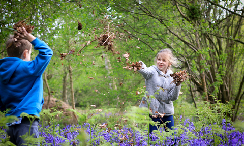 Two children throwing leaf litter at each other in a bluebell wood.