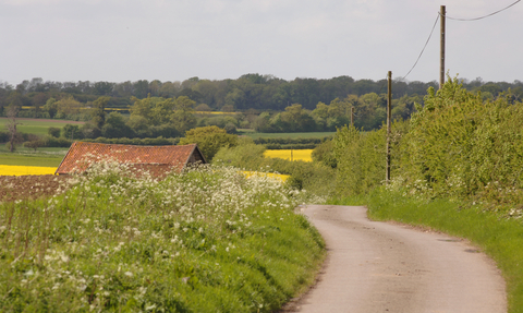 Meandering road running through rural Norfolk in the summer, with lush green hedgerows and fields in bloom in the distance.