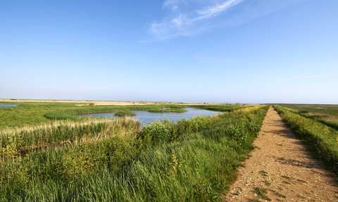 a landscape showing a path through Cley Marshes