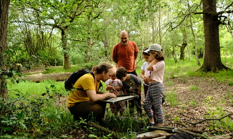 a group of adults and children in a woodland looking into a net