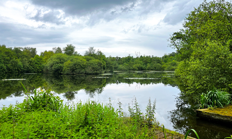 Moody skies reflected on the broad and lush green vegetation all around.
