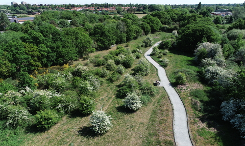 An aerial photo of the winding path through a lush, green Sweet Briar Marshes. There is a gentlemen sat on a bench beside the path.