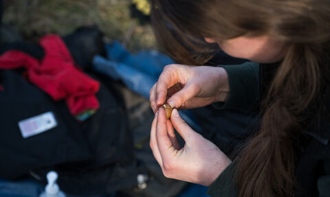 A close up of a young woman examining an acorn in her hands.