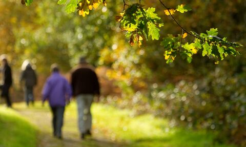 Couple walking down path through woodland