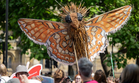 A large butterfly puppet at a march in London. 