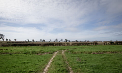 A farm field with a muddy track and trees dotted in the distance.