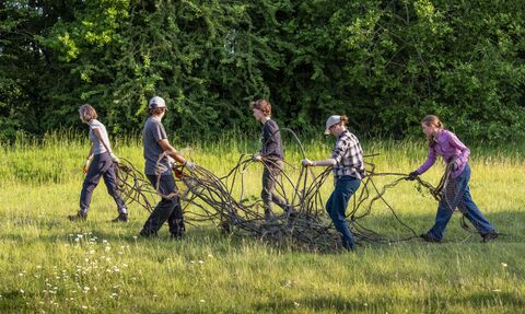 a group of young people clearing a meadow