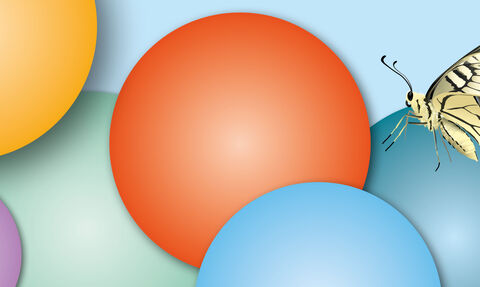 A swallowtail butterfly perches on brightly coloured lotto balls