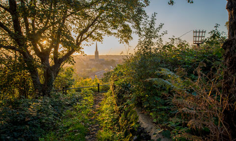 The view of Norwich skyline from Kett's Heights park. The sun is setting and their is lush green all around.