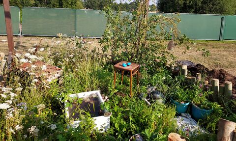 a wildlife garden