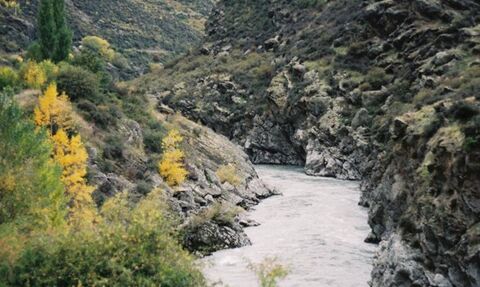 A photo of a landscape in Australia. The photo features mountains stretching across the horizon, with green trees and grass growing on them. A river passes between them, with plants on the bank in the foreground. The sky is grey and cloudy above the scene.