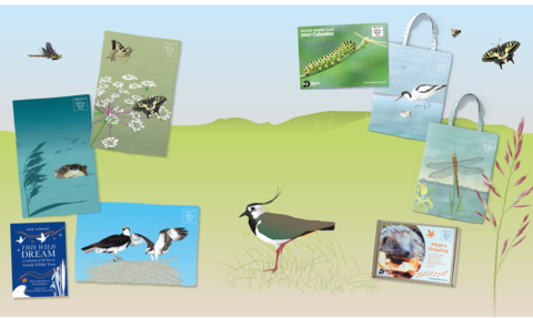 Illustrated page header with a lapwing, dragonfly, swallowtails and product images overlayed. 