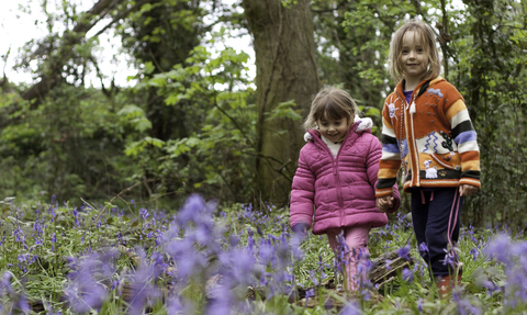 Two young girls wearing coats walk hand in hand through a bluebell field