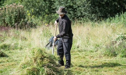 A man wearing a hat rakes up green hay in a field on a sunny day
