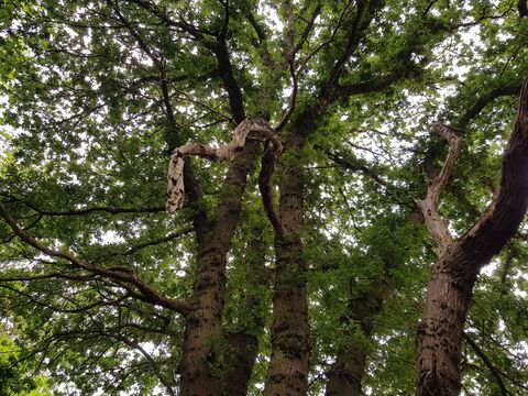 Why is the Norwich Western Link a national issue? | Norfolk Wildlife Trust