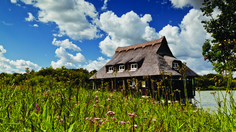 Ranworth Broad floating visitor centre surrounded by reeds with little pink flowers. 