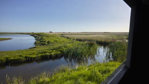 The view from a hide at Cley