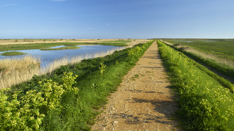 A brown-orange path stretches out into the distance, surrounded by lush green grass on each side. Beyond this, there is a field to the right and a marsh to the left, under a bright blue sky