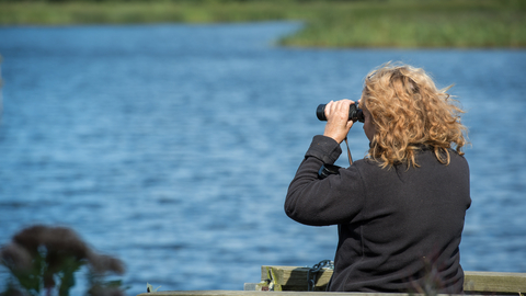 A volunteer is looking out onto the Broads with her binoculars 