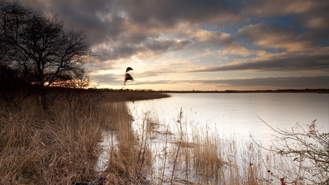 Sunset reeds and water at Martham Broad and Marshes