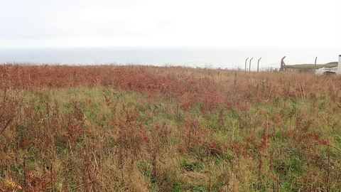 Brown and yellow scrubland at Kay Cliffs on a grey day