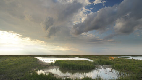 A long stretch of marshy ground under a cloudy sky