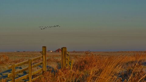 View across Cley marshes