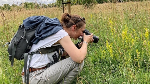 Gail Ashton photographing invertebrates in a grassy field
