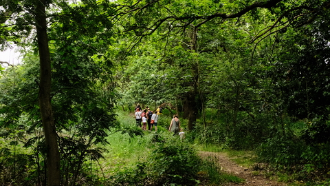 A group of people walking around Sweet Briar. It's really green and leafy.