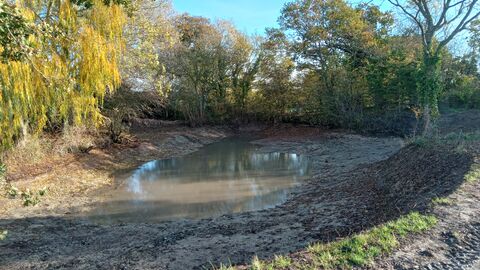 A large dug out pond with trees around it. 
