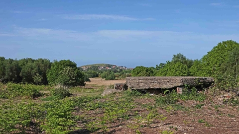 View of Beeston Common Pill-box Hill on a sunny day