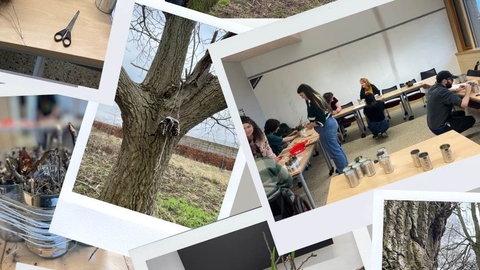 Collage of photos showing students taking part in craft activities
