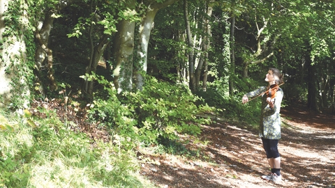 The album cover for Bird Tunes showing Miranda standing with her violin looking up towards a leafy green tree