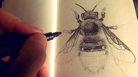 A person's hand holding a fine-nibbed pen to create an intricate black and white bee design created by tiny small dots