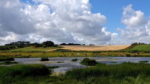A photograph of rolling hills and water, with white clouds in the sky