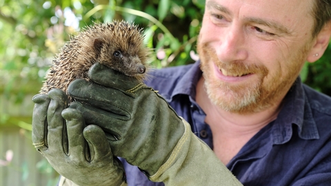 An image of Hugh Warwick wearing green heavy-duty gloves holding a hedgehog