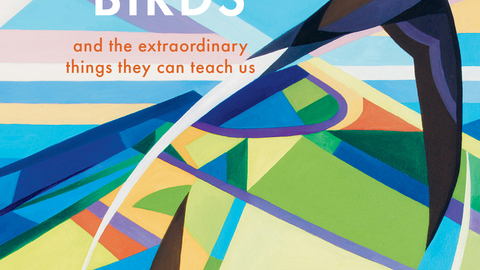 Book cover of The Life Affirming Magic of Birds by Charlie Bingham