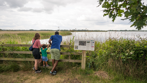 A mum, dad and young boy peering over a fence overlooking the broad at Hickling.
